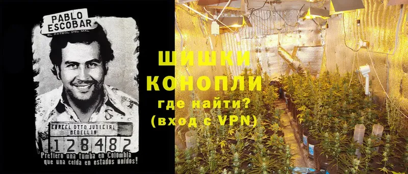 Каннабис Ganja  Мещовск 